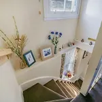 Hazel's